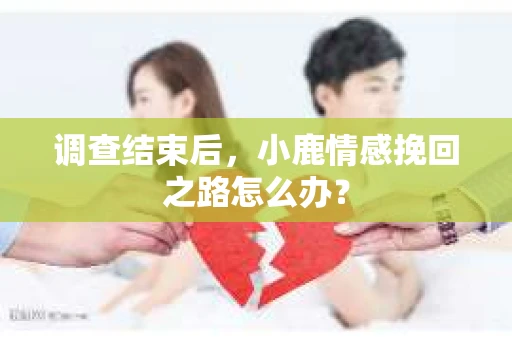 调查结束后，小鹿情感挽回之路怎么办？