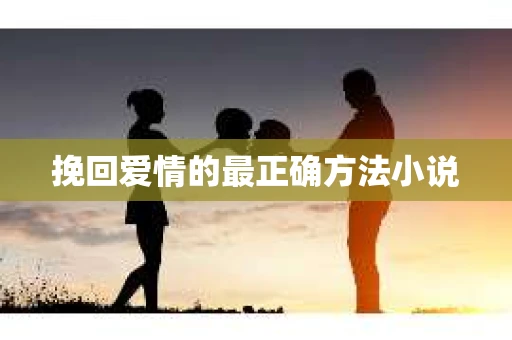 挽回爱情的最正确方法小说
