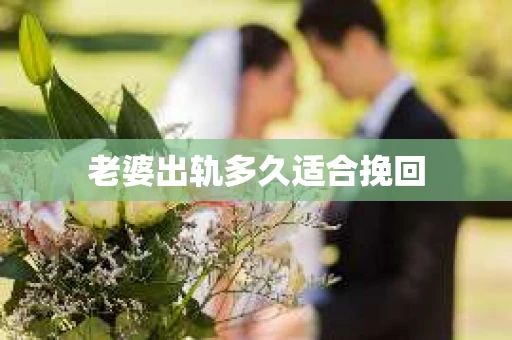 老婆出轨多久适合挽回