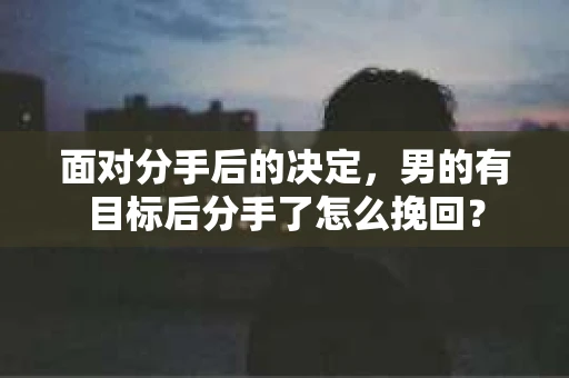 面对分手后的决定，男的有目标后分手了怎么挽回？