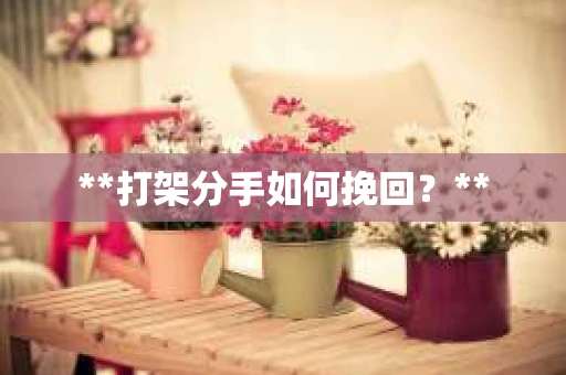 **打架分手如何挽回？**