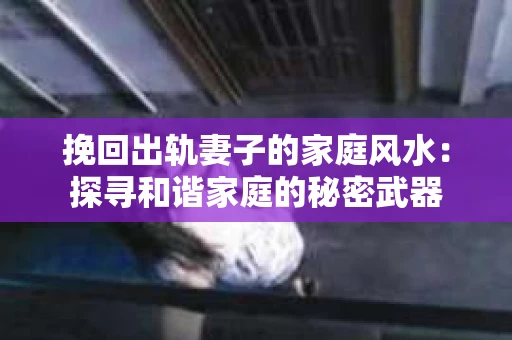 挽回出轨妻子的家庭风水：探寻和谐家庭的秘密武器