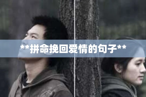 **拼命挽回爱情的句子**