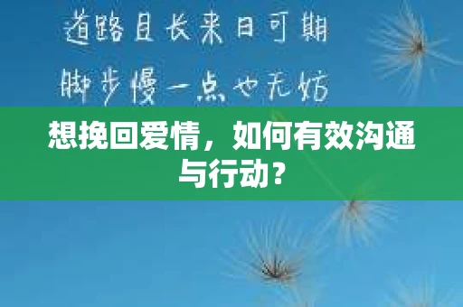 想挽回爱情,如何有效沟通与行动? 想挽回爱情,如何有效沟通与行动?