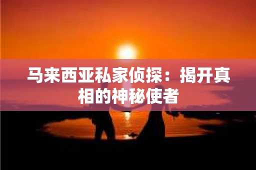 马来西亚私家侦探：揭开真相的神秘使者