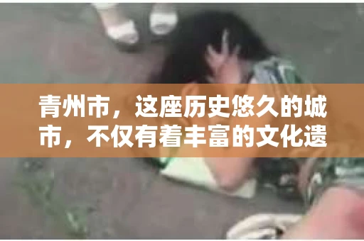 青州市，这座历史悠久的城市，不仅有着丰富的文化遗产，也有着现代生活的便捷。那么，问题来了——青州市有私家侦探公司吗？这个问题，对于需要侦探服务的人来说，无疑至关重要。接下来，我就来为大家揭开这个谜底。