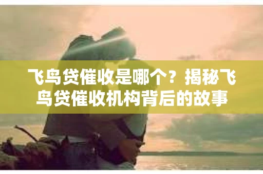 飞鸟贷催收是哪个？揭秘飞鸟贷催收机构背后的故事