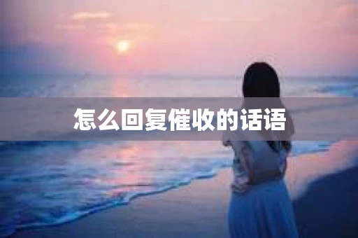 怎么回复催收的话语