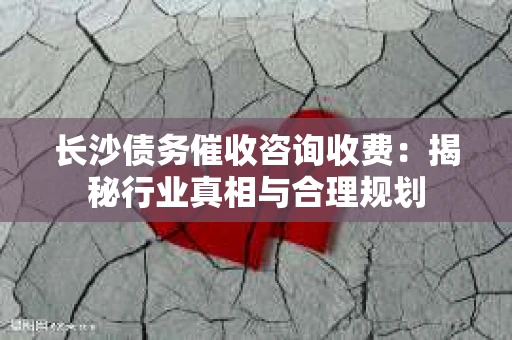 长沙债务催收咨询收费：揭秘行业真相与合理规划