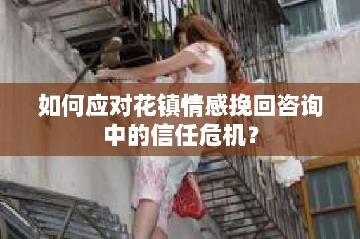 如何应对花镇情感挽回咨询中的信任危机？