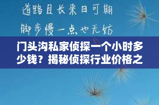 门头沟私家侦探一个小时多少钱？揭秘侦探行业价格之谜