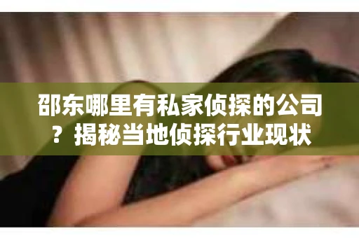 邵东哪里有私家侦探的公司？揭秘当地侦探行业现状