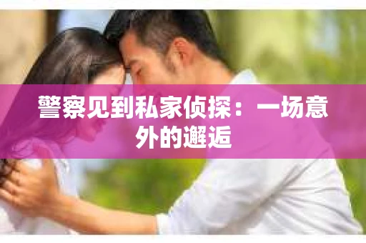 警察见到私家侦探：一场意外的邂逅