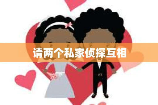 请两个私家侦探互相