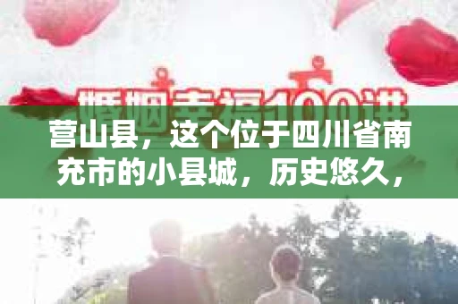 营山县，这个位于四川省南充市的小县城，历史悠久，风景秀丽。但在这个宁静的小县城里，你是否会好奇，有没有私家侦探的存在呢？今天，我就来和大家聊聊这个话题。