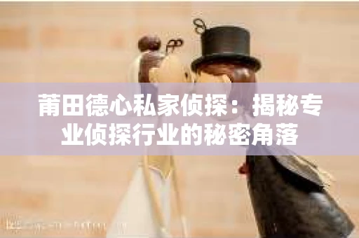 莆田德心私家侦探：揭秘专业侦探行业的秘密角落