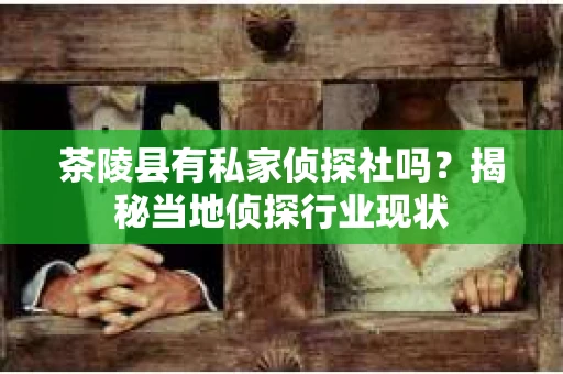 茶陵县有私家侦探社吗？揭秘当地侦探行业现状