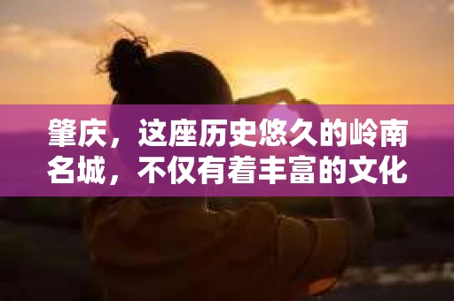 肇庆，这座历史悠久的岭南名城，不仅有着丰富的文化遗产，还有着独特的现代生活节奏。在这个城市里，你是否曾有过需要帮助解决一些棘手问题的时候？或许，你听说过肇庆有私家侦探，那么，他们究竟是怎样的存在呢？