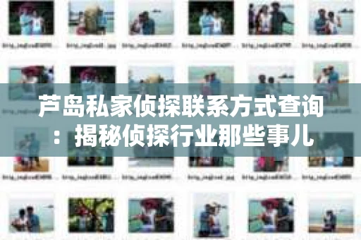 芦岛私家侦探联系方式查询：揭秘侦探行业那些事儿