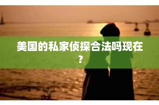 美国的私家侦探合法吗现在？