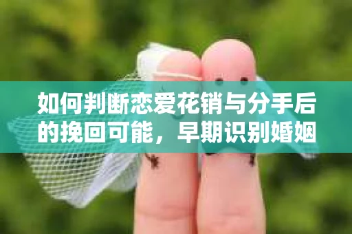 如何判断恋爱花销与分手后的挽回可能，早期识别婚姻危机的关键信号