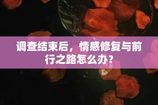 调查结束后，情感修复与前行之路怎么办？
