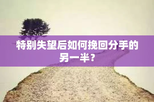 特别失望后如何挽回分手的另一半？