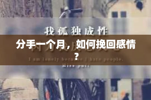 分手一个月，如何挽回感情？
