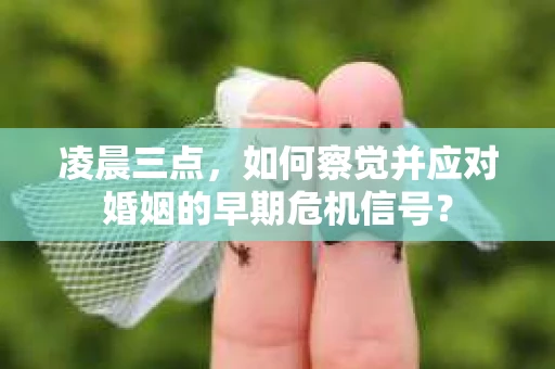 凌晨三点，如何察觉并应对婚姻的早期危机信号？