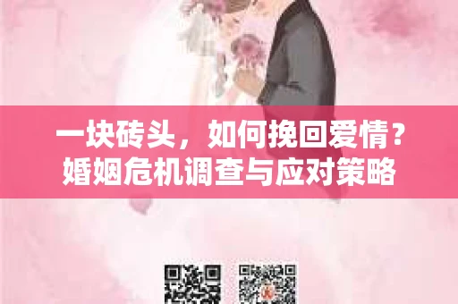 一块砖头，如何挽回爱情？婚姻危机调查与应对策略