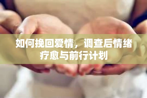 如何挽回爱情,调查后情绪疗愈与前行计划 如何挽回爱情,调查后情绪疗愈与前行计划
