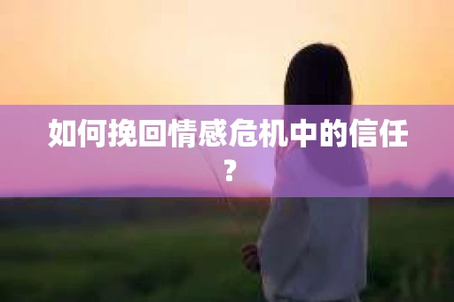 如何挽回情感危机中的信任？