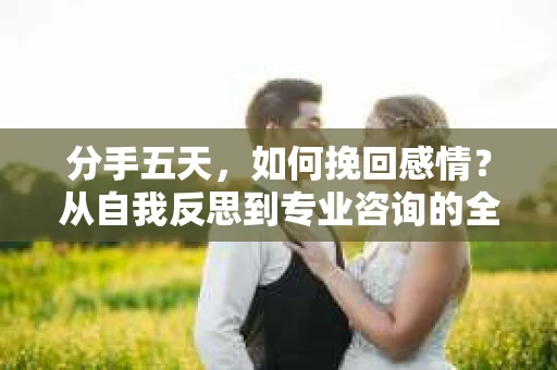 分手五天，如何挽回感情？从自我反思到专业咨询的全面解决方案