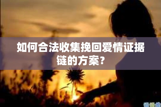 如何合法收集挽回爱情证据链的方案？