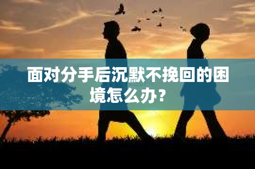 面对分手后沉默不挽回的困境怎么办？